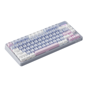 2.V700DIY-75-PK_WH.png Rapoo V700DIY-75 Wireless Mechanical Gaming Keyboard Creamy Sound